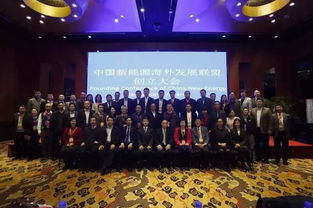 王麗博士出席中國新能源海外發(fā)展聯(lián)盟創(chuàng)立大會(huì) 理事 中國與全球化智庫