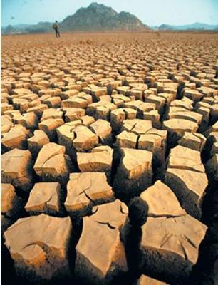 優化水資源 改變城市生活_新浪汽車_新浪網